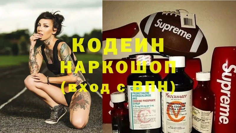 цена наркотик  Петровск-Забайкальский  Кодеиновый сироп Lean Purple Drank 